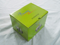 Lime color Boxes with our logo for Alternators & Starters